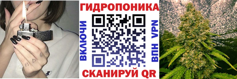 Виды наркотиков купить Печоры Альфа ПВП Галлюциногенные грибы Гашиш КОКАИН Меф мяу мяу