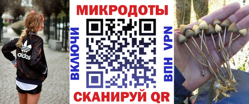 Галлюциногенные грибы Magic Shrooms  купить закладку  Печоры 